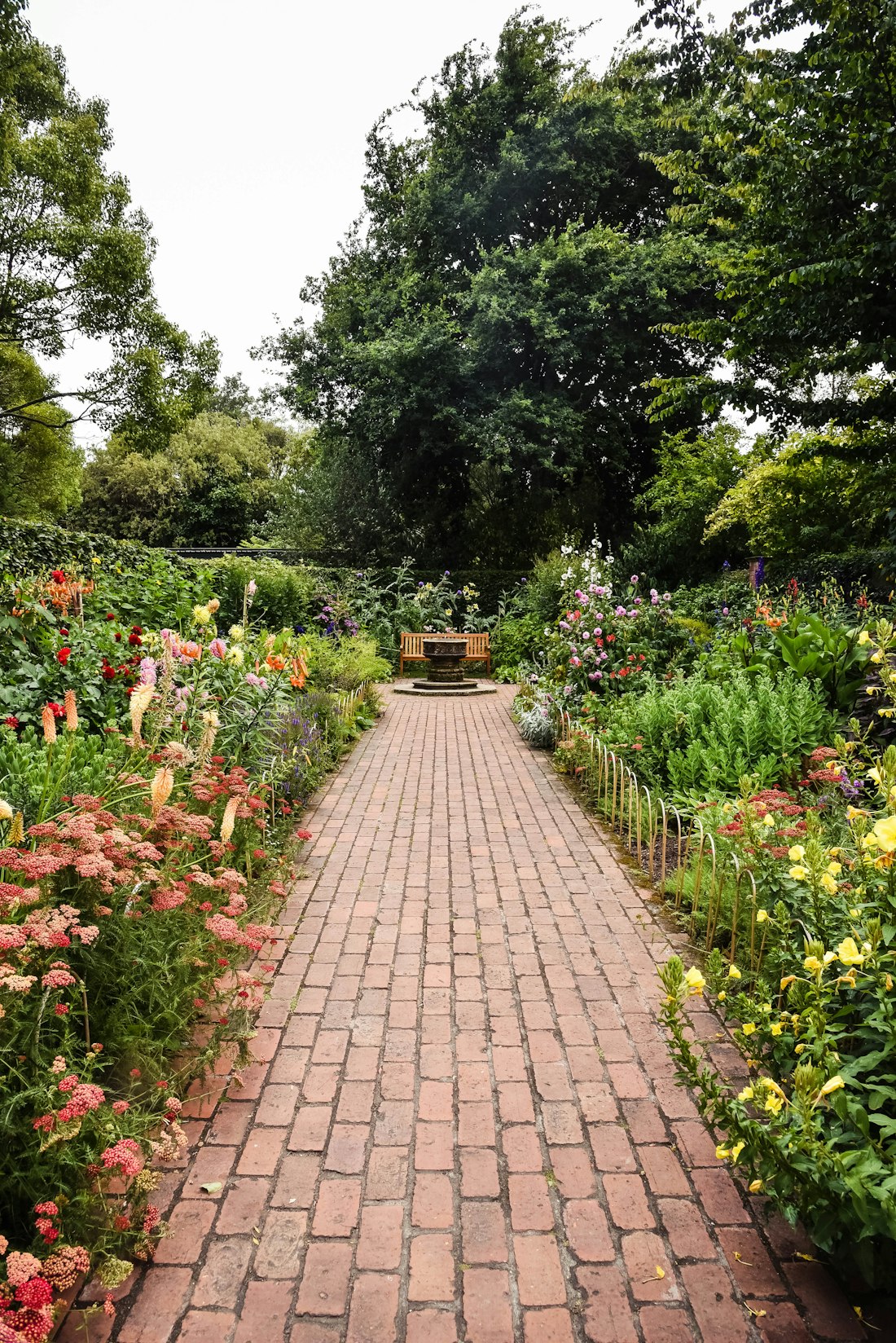 Serene Garden Pathway