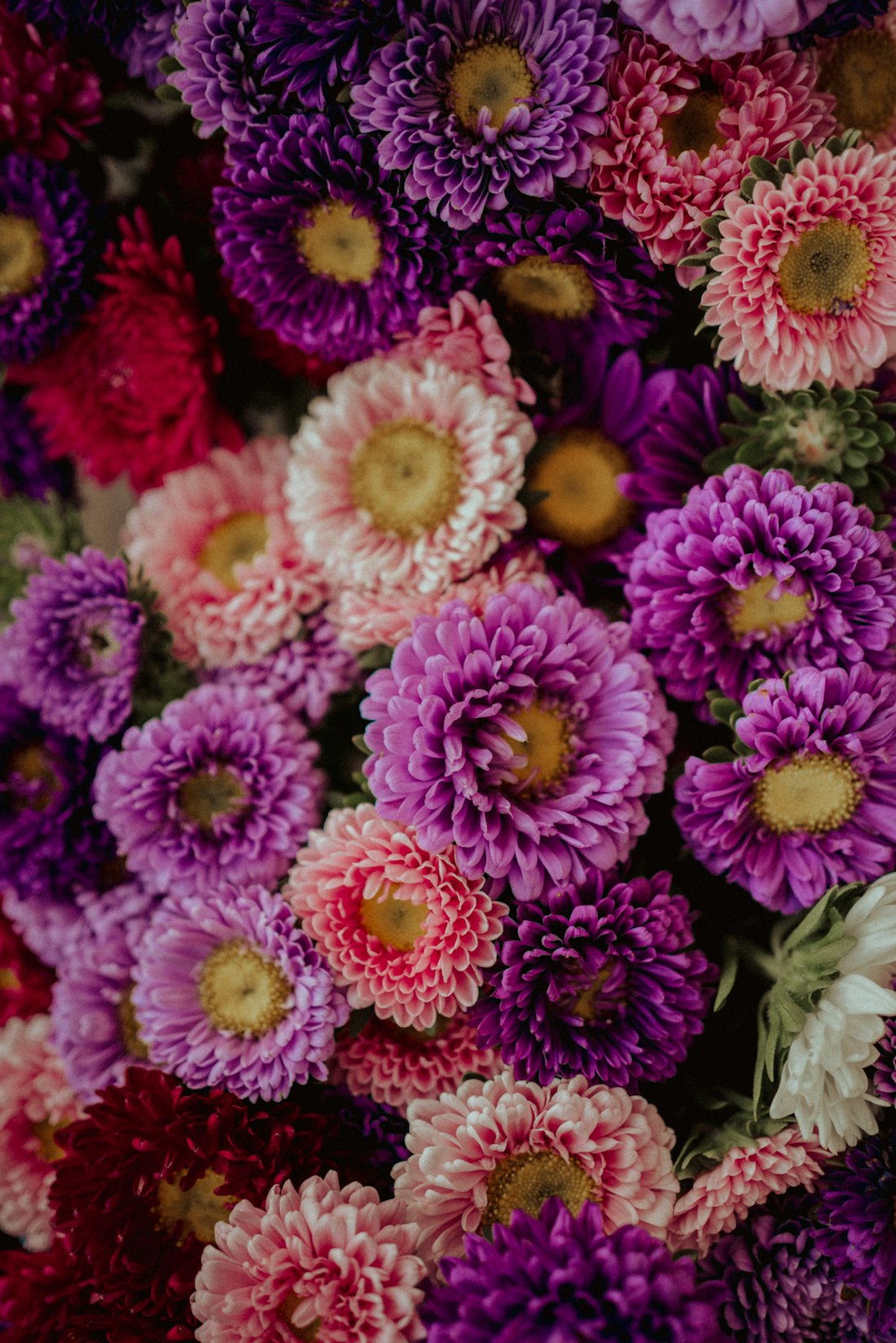Market Flowers Close-Up