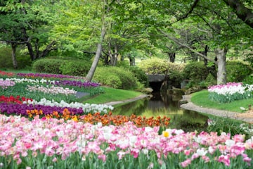 Flower Garden
