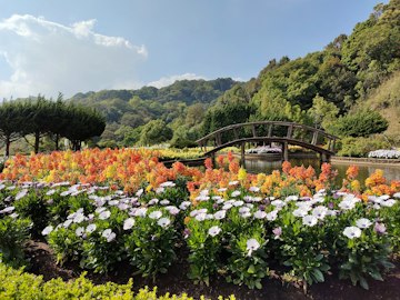 Serene Flower Garden