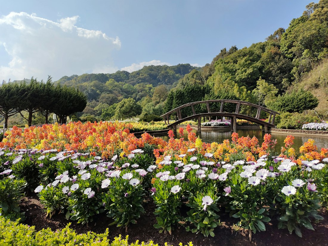 Serene Flower Garden